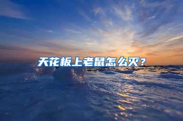 天花板上老鼠怎么滅？