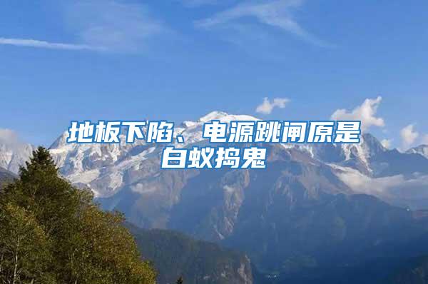 地板下陷、電源跳閘原是白蟻搗鬼