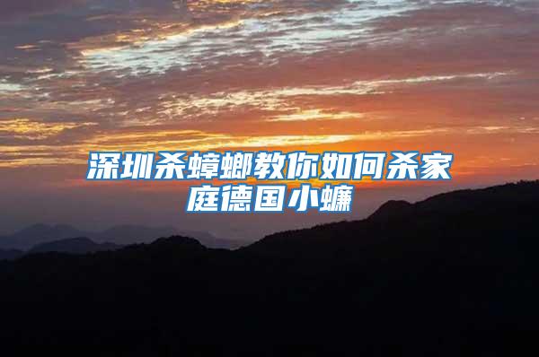 深圳殺蟑螂教你如何殺家庭德國小蠊