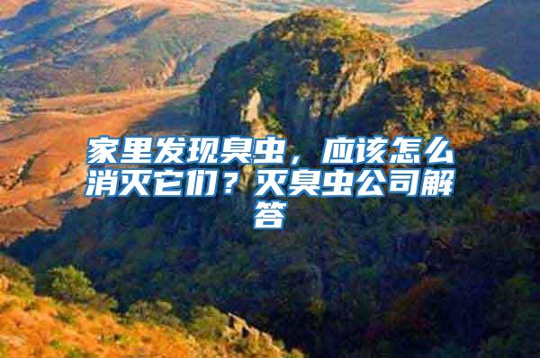 家里發現臭蟲，應該怎么消滅它們？滅臭蟲公司解答