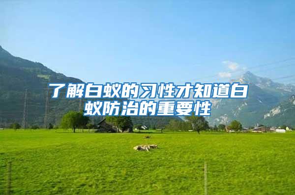 了解白蟻的習(xí)性才知道白蟻防治的重要性