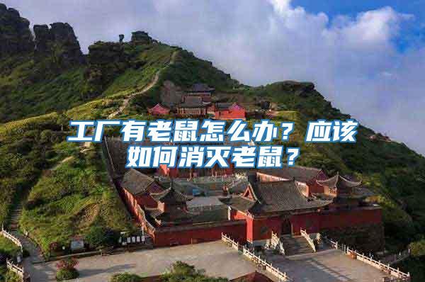 工廠有老鼠怎么辦？應該如何消滅老鼠？
