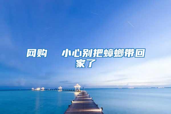 網購  小心別把蟑螂帶回家了