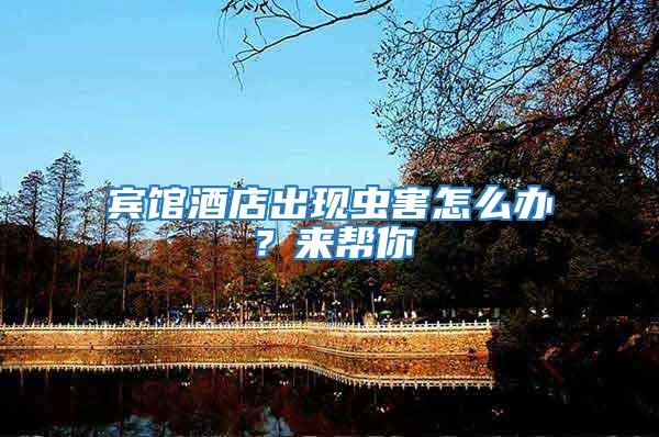 賓館酒店出現蟲害怎么辦？來幫你
