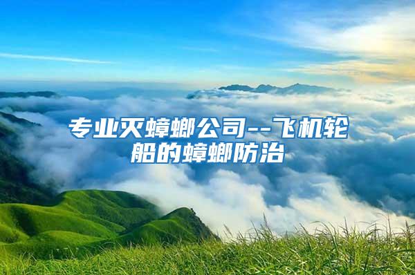 專業滅蟑螂公司--飛機輪船的蟑螂防治