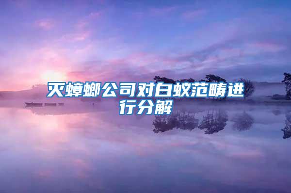 滅蟑螂公司對白蟻范疇進(jìn)行分解