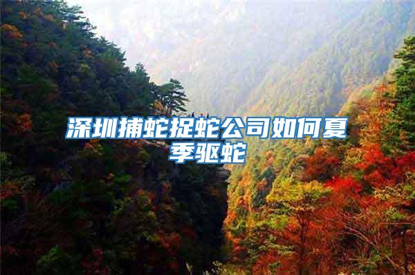 深圳捕蛇捉蛇公司如何夏季驅蛇