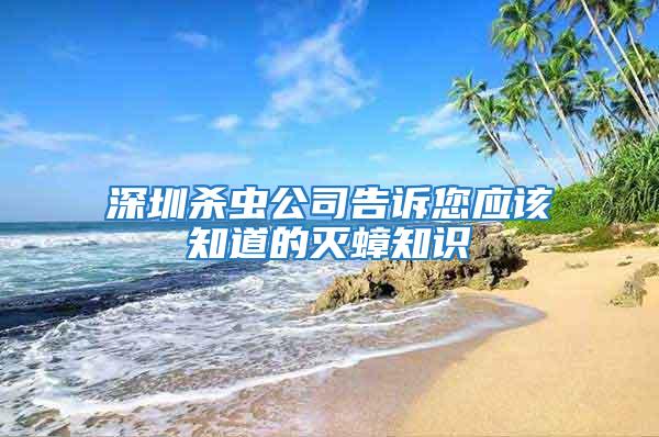 深圳殺蟲公司告訴您應該知道的滅蟑知識