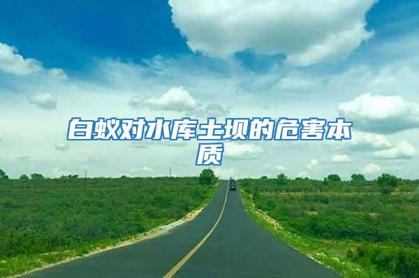 白蟻對水庫土壩的危害本質