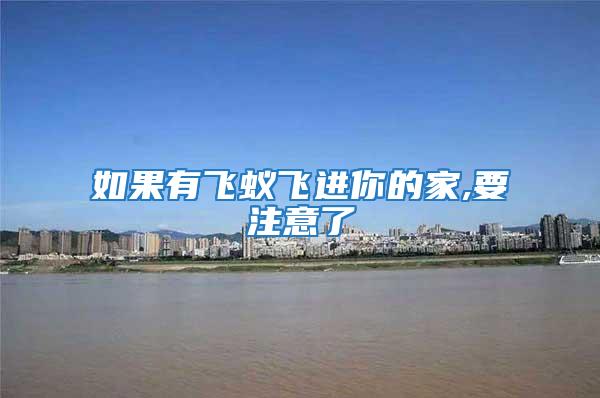 如果有飛蟻飛進你的家,要注意了
