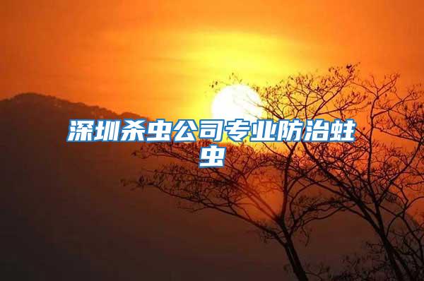 深圳殺蟲(chóng)公司專(zhuān)業(yè)防治蛀蟲(chóng)