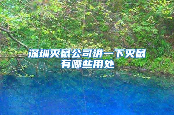 深圳滅鼠公司講一下滅鼠有哪些用處