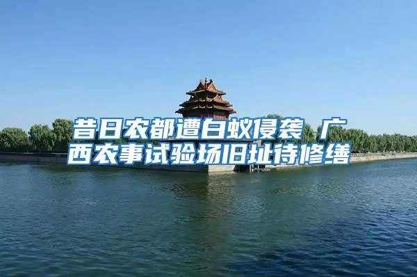 昔日農都遭白蟻侵襲 廣西農事試驗場舊址待修繕