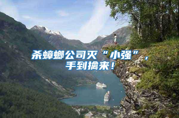 殺蟑螂公司滅“小強”，手到擒來！