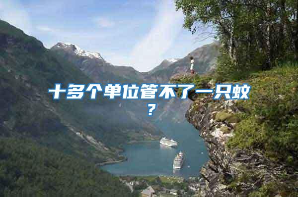 十多個單位管不了一只蚊？