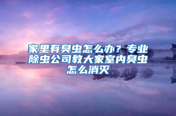 家里有臭蟲怎么辦？專業除蟲公司教大家室內臭蟲怎么消滅