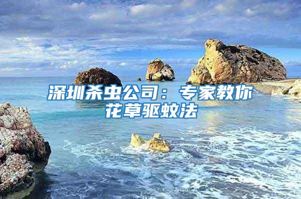 深圳殺蟲公司：專家教你花草驅蚊法