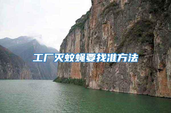 工廠滅蚊蠅要找準方法