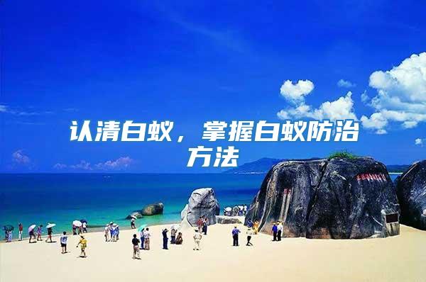 認清白蟻，掌握白蟻防治方法