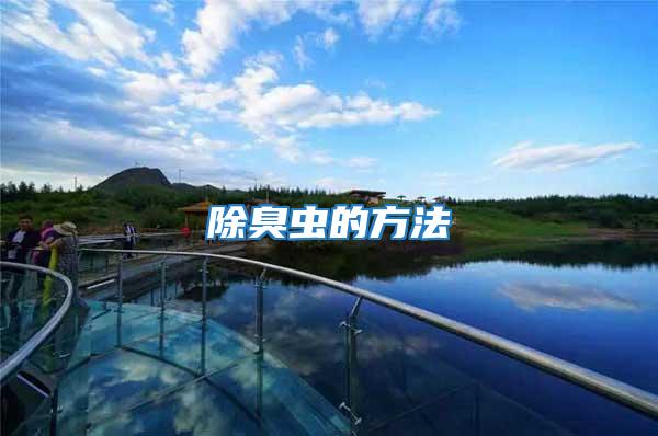 除臭蟲(chóng)的方法