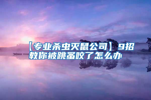 【專業殺蟲滅鼠公司】9招教你被跳蚤咬了怎么辦