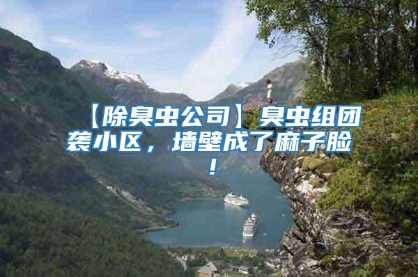 【除臭蟲公司】臭蟲組團襲小區，墻壁成了麻子臉！