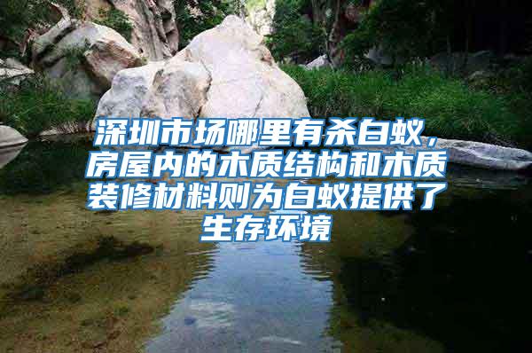 深圳市場(chǎng)哪里有殺白蟻，房屋內(nèi)的木質(zhì)結(jié)構(gòu)和木質(zhì)裝修材料則為白蟻提供了生存環(huán)境