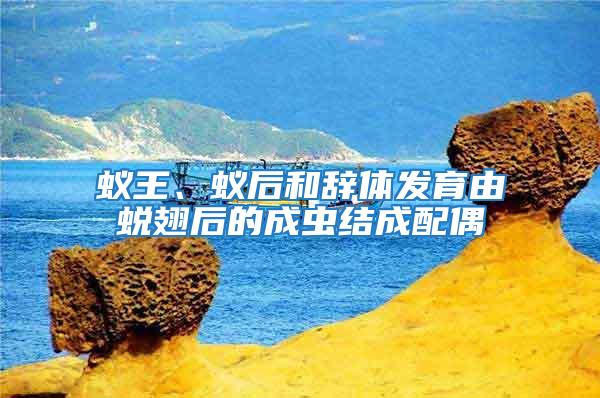蟻王、蟻后和辭體發(fā)育由蛻翅后的成蟲(chóng)結(jié)成配偶