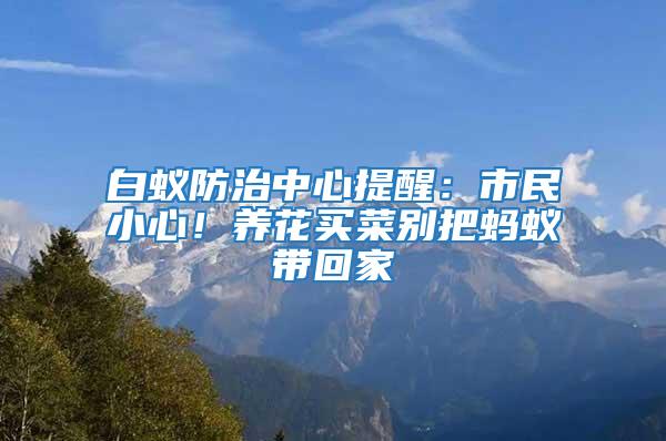 白蟻防治中心提醒：市民小心！養花買菜別把螞蟻帶回家
