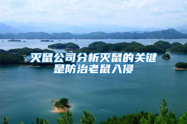 滅鼠公司分析滅鼠的關鍵是防治老鼠入侵