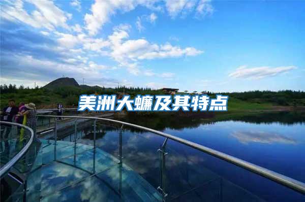 美洲大蠊及其特點