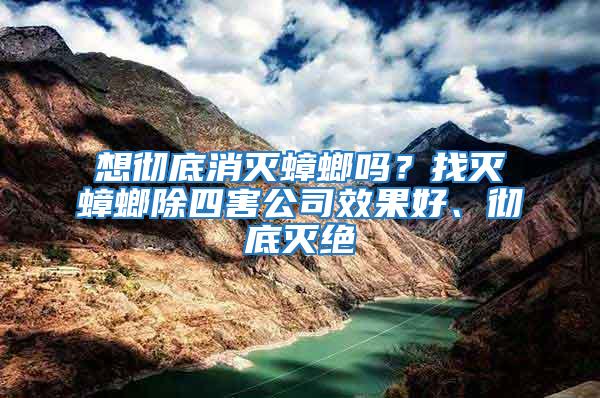 想徹底消滅蟑螂嗎？找滅蟑螂除四害公司效果好、徹底滅絕