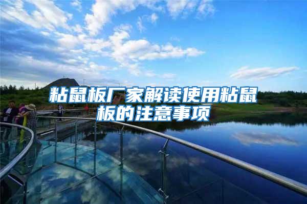 粘鼠板廠家解讀使用粘鼠板的注意事項