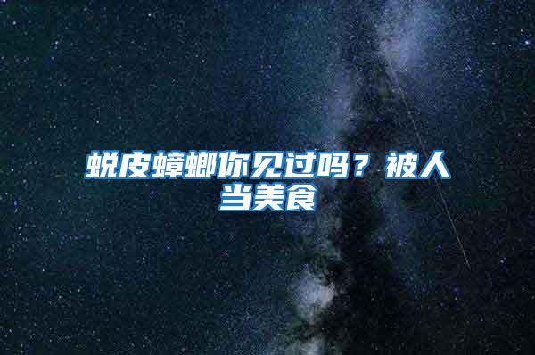蛻皮蟑螂你見過嗎？被人當美食
