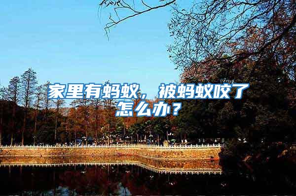 家里有螞蟻，被螞蟻咬了怎么辦？
