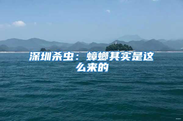 深圳殺蟲：蟑螂其實是這么來的