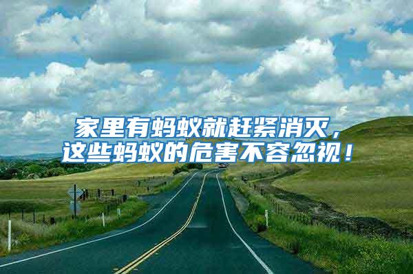 家里有螞蟻就趕緊消滅，這些螞蟻的危害不容忽視！