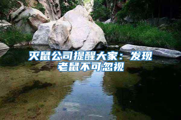 滅鼠公司提醒大家：發現老鼠不可忽視