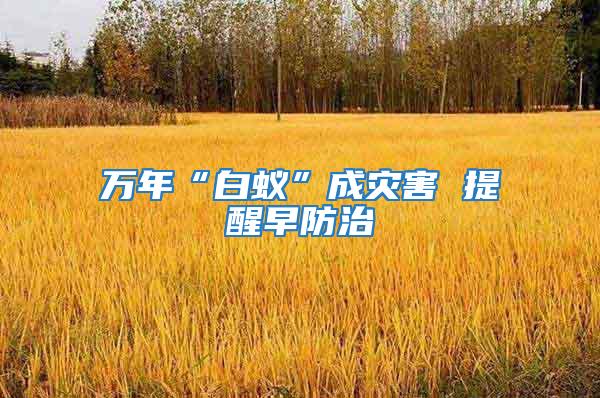 萬年“白蟻”成災害 提醒早防治