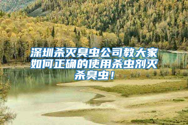 深圳殺滅臭蟲公司教大家如何正確的使用殺蟲劑滅殺臭蟲！