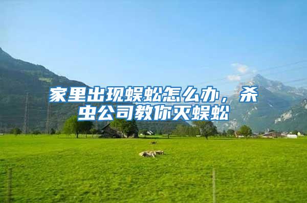 家里出現蜈蚣怎么辦，殺蟲公司教你滅蜈蚣