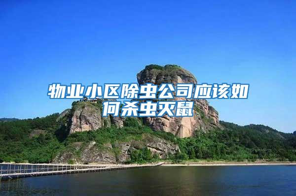 物業小區除蟲公司應該如何殺蟲滅鼠