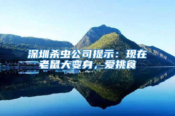 深圳殺蟲公司提示：現在老鼠大變身，愛挑食