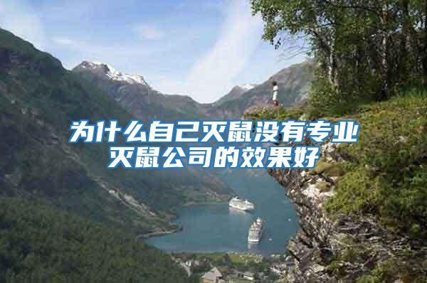 為什么自己滅鼠沒有專業滅鼠公司的效果好