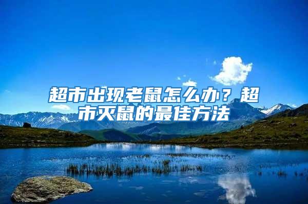超市出現老鼠怎么辦？超市滅鼠的最佳方法