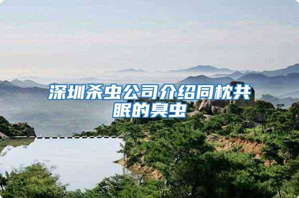 深圳殺蟲(chóng)公司介紹同枕共眠的臭蟲(chóng)