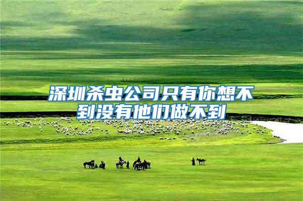 深圳殺蟲公司只有你想不到沒有他們做不到