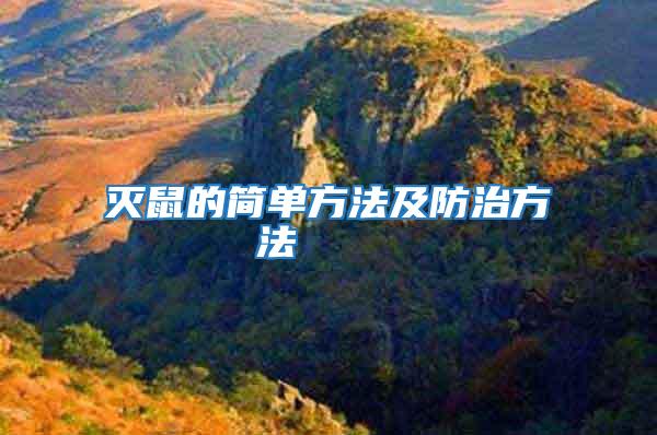 滅鼠的簡單方法及防治方法    