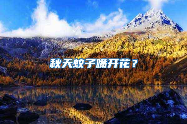 秋天蚊子嘴開花？
