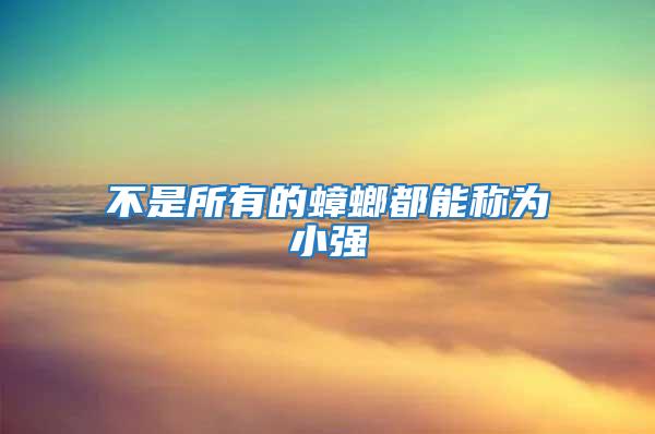 不是所有的蟑螂都能稱為小強